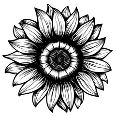sunflower silhouette, sunflower svg, sunflower png, sunflower illustration, sunflower , silhouette flower, floral svg, herb svg, flower illustration, flower, floral, vector, nature, illustration, spri