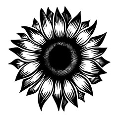 sunflower silhouette, sunflower svg, sunflower png, sunflower illustration, sunflower , silhouette flower, floral svg, herb svg, flower illustration, flower, floral, vector, nature, illustration, spri