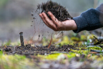 farmer collecting soil samples in a test tube in a field. Agronomist checking soil carbon and plant...