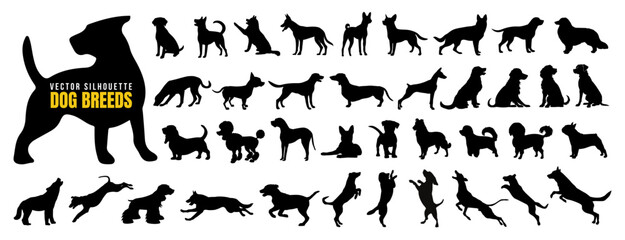 Vector set of different dog breed silhouette isolated on white background. American puppy or pet animal clip art. Wild dog doodle sketch or line art. Black dog different funny activity symbol or icon.