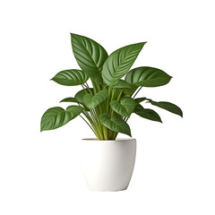 A realistic white potted plant with green leaves on a transparent background