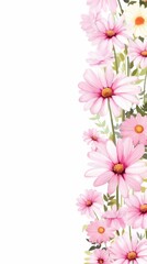 Fototapeta premium A vertical border of pink daisies on a white background.