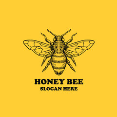 Hand Drawn Bee Poster. logo, Design Element, Clipart, Template for Greeting Cards and Invitations.