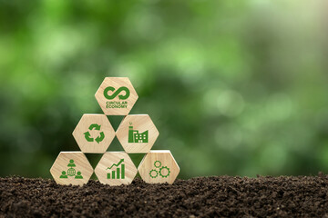 Circular economy concept.wooden cube with circular economy icons.circular economy for future growth of business and design to reuse and renewable material resources. reuse, recycling.net zero