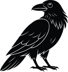 Raven and crow silhouette vector set design