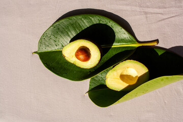 Sliced ​​avocado on a ficus leaf with contrasting shadows. View from above