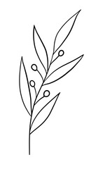 Vector illustration of a twig with leaves and berries. Line drawing, doodle style. Hand-drawn botanical illustration for design and decoration. EPS 10