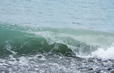 Fototapeta premium Sea wave crashing on the shore