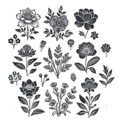 Flat design flower silhouettes and leaves floral element design vector template illustration
