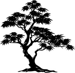 Vector sketch illustration. Black silhouette of Japanese Maple isolated on white background. AI generated illustration.