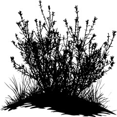 silhouette bush with leaves and shadow on white background. AI generated illustration.