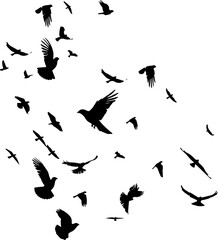 Flying Birds Silhouettes On White Background Vector Design. AI generated illustration.