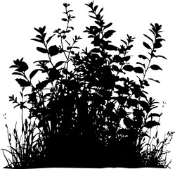 silhouette bush with leaves and shadow on white background. AI generated illustration.