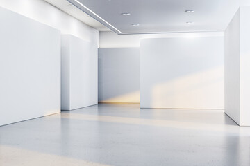 A modern, empty gallery interior with white walls and spotlights on a plain background, concept of an exhibition space. 3D Rendering