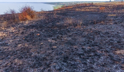 Environmental problem due to fires in nature, scorched vegetation on the banks of the Tiligul estuary © Oleg Kovtun