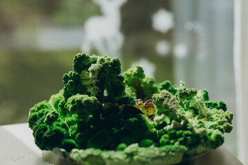 A toy with a dinosaur and a forest