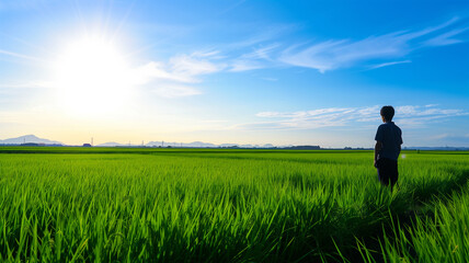 田んぼ シルエット 人 青空