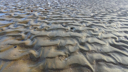 Waves on a muddy bottom in a sea channel at low tide