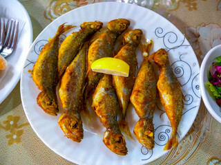 Fried fish Black Sea horse mackerel on a white plate