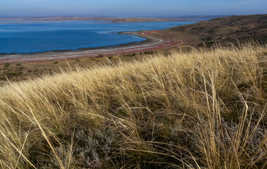 Dry feather grass Ukrainian steppe on the slopes of the Tiligul estuary, Ukraine