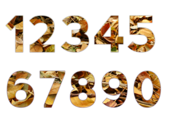 Set design number 0-9 with dry leaf texture on white background, set of number dry leaf texture.