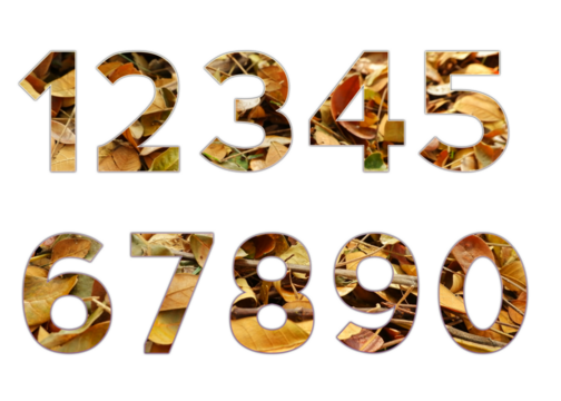 Set design number 0-9 with dry leaf texture on white background, set of number dry leaf texture.