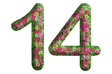 3d of the number 14 is made of green grass and beautiful flower isolated on transparent background. Go green concept for Memorial Day template