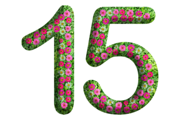 3d of the number 15 is made of green grass and beautiful flower isolated on transparent background. Go green concept for Memorial Day template