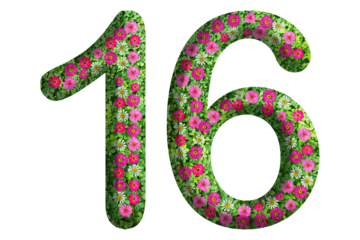 3d of the number 16 is made of green grass and beautiful flower isolated on transparent background. Go green concept for Memorial Day template