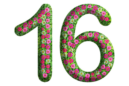3d of the number 16 is made of green grass and beautiful flower isolated on transparent background. Go green concept for Memorial Day template