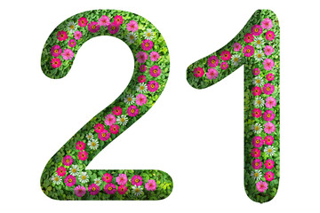 3d of the number 21 is made of green grass and beautiful flower isolated on transparent background. Go green concept for Memorial Day template