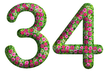 3d of the number 34 is made of green grass and beautiful flower isolated on transparent background. Go green concept for Memorial Day template