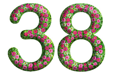3d of the number 38 is made of green grass and beautiful flower isolated on transparent background. Go green concept for Memorial Day template