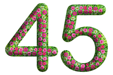 3d of the number 45 is made of green grass and beautiful flower isolated on transparent background. Go green concept for Memorial Day template