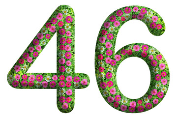 3d of the number 46 is made of green grass and beautiful flower isolated on transparent background. Go green concept for Memorial Day template