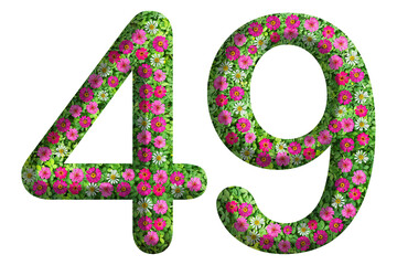 3d of the number 49 is made of green grass and beautiful flower isolated on transparent background. Go green concept for Memorial Day template