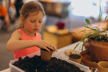 Girl planting seeds for seedlings in small recyclable peat pots, seedling container.Children learn...