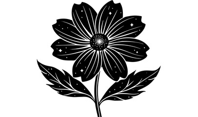 cosmos flower vector silhouette illustration