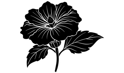 cosmos flower vector silhouette illustration