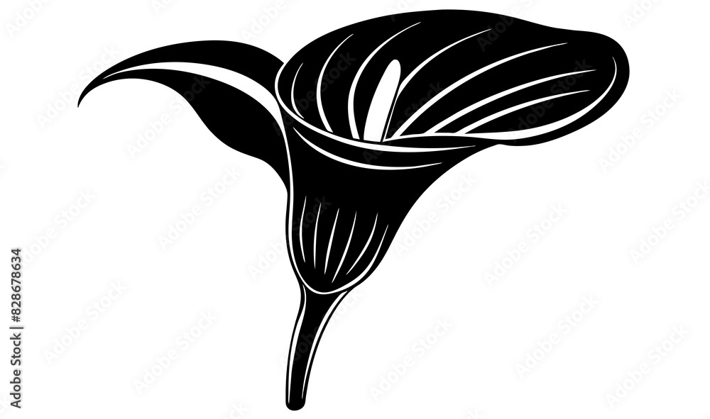 Canvas Prints calla lily flower vector silhouette illustration