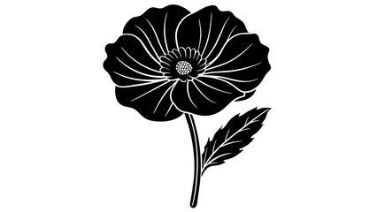  Iceland poppy flower vector silhouette illustration