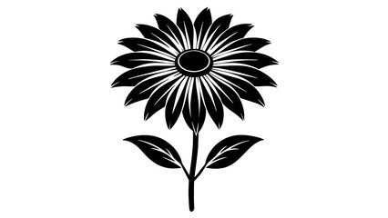  rudbeckia flower vector silhouette illustration