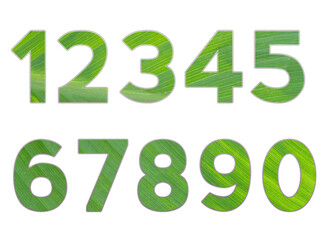 Set design number 0-9 with leaf texture on white background, set of number leaf texture.