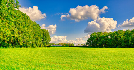 Big white clouds are passing over a rustic landscape in The Netherlands.