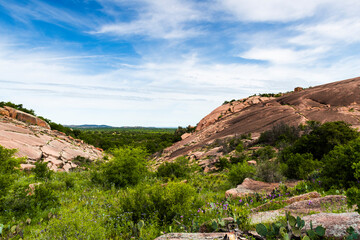 Green vegetation and pink granite stone of Enchanted rock