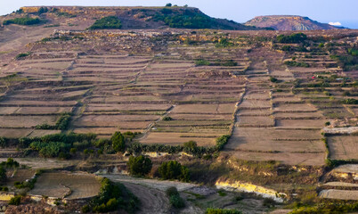 View from the walls of the rectangular fields on the island of Gozo, Malta