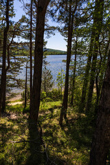 Fototapeta premium Lac de Saint-Ferréol, classé au Patrimoine Mondial de l’UNESCO, entouré de pins