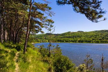 Lac de Saint-Ferréol, classé au Patrimoine Mondial de l’UNESCO, entouré de pins