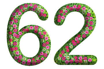 3d of the number 62 is made of green grass and beautiful flower isolated on transparent background. Go green concept for Memorial Day template