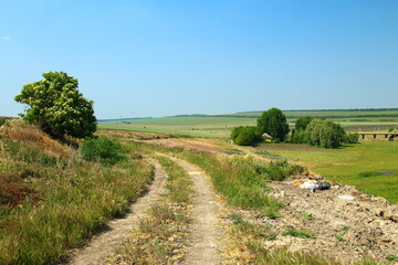 Fototapeta premium A dirt road through a grassy field